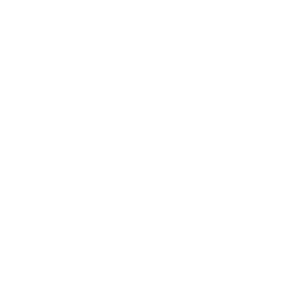 Logo Studio Fyrnys